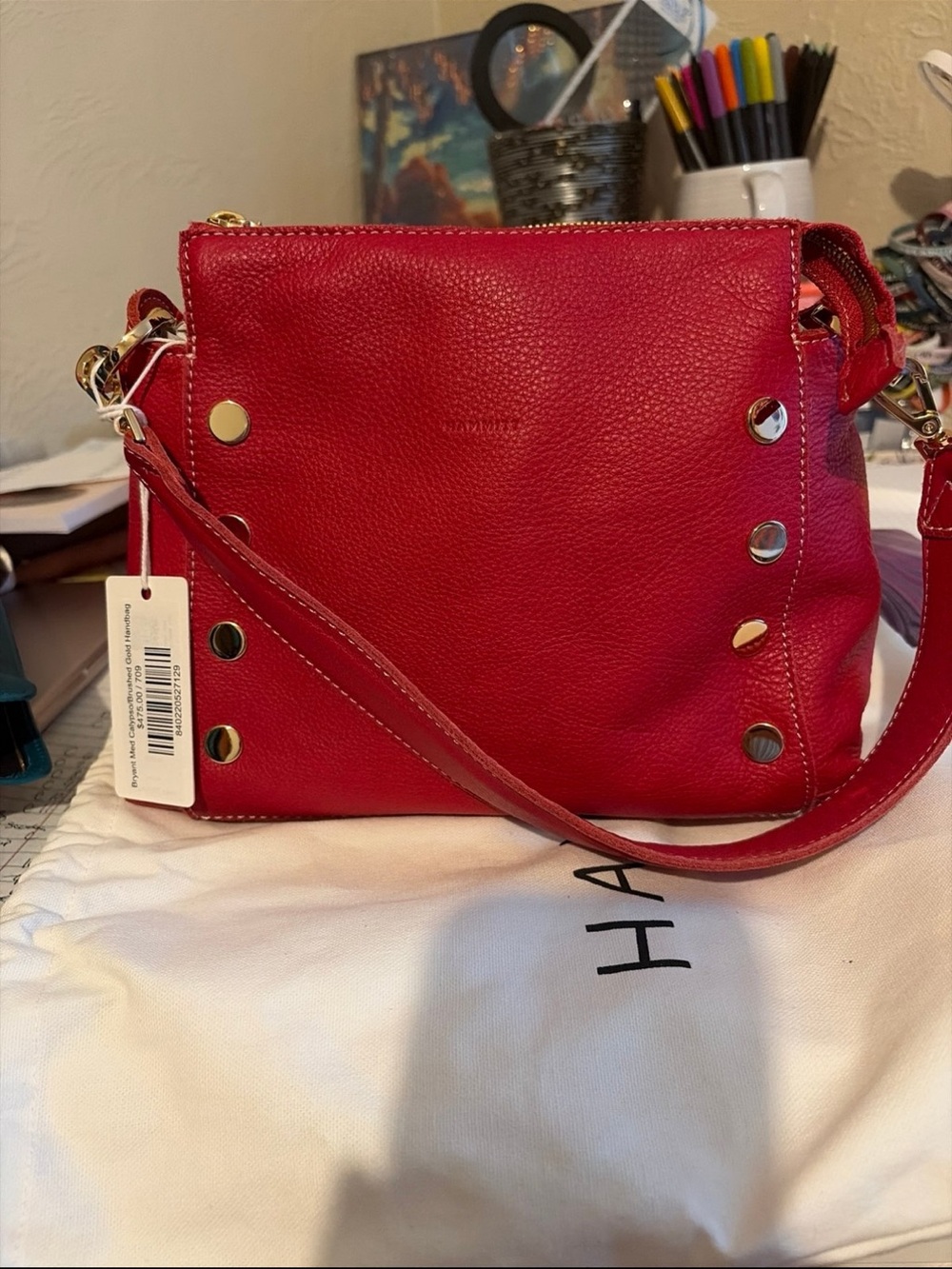 Hammitt Bryant Medium Crossbody Bag